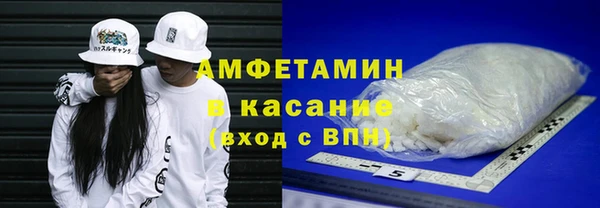 индика Нягань