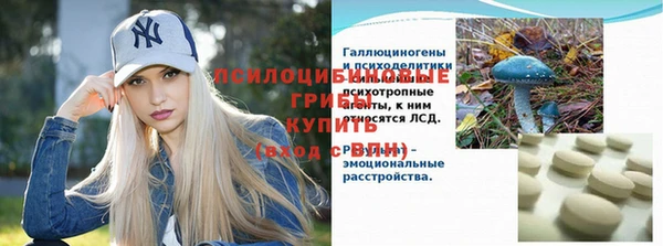 дурь Алексеевка